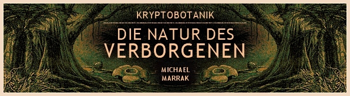 Kryptobotanik